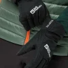 Winter Basic Glove