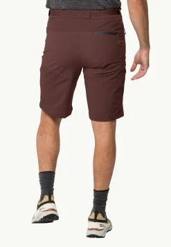 Ziegspitz Shorts M
