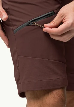 Ziegspitz Shorts M